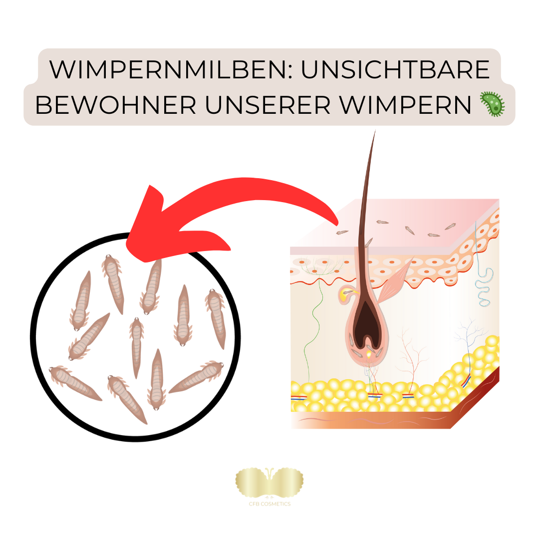 Wimpernmilben - CFB Cosmetics