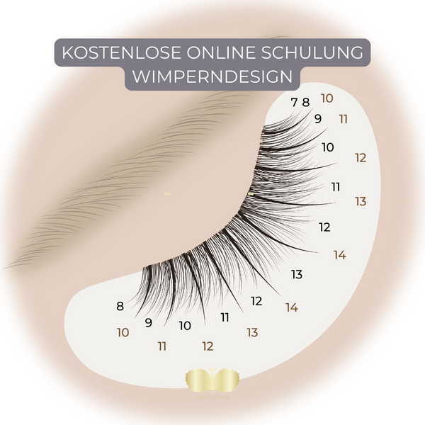 🌟Kostenlose Online-Schulung für Wimpernverlängerung und Design 🌟
