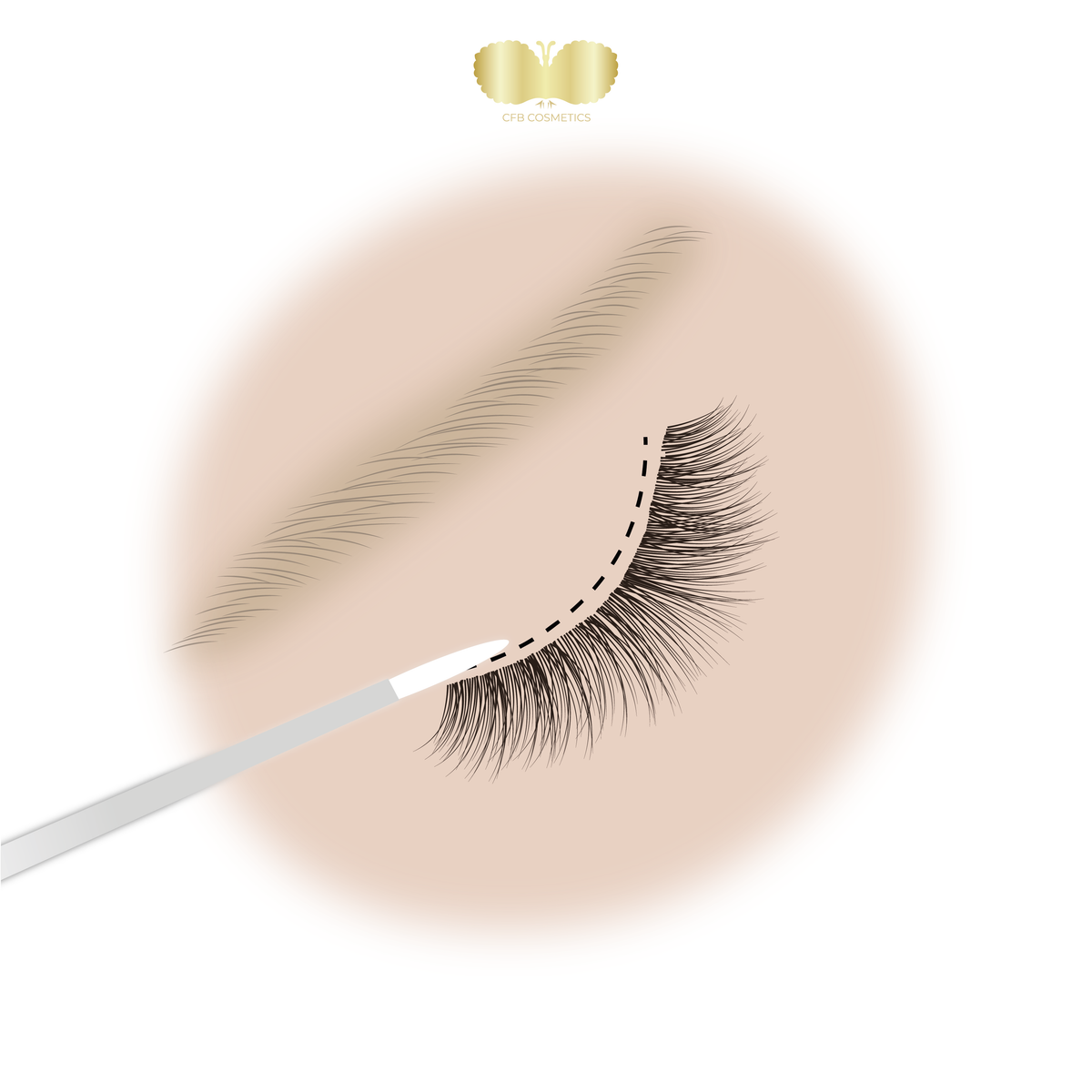 Lash & Brow Booster Wimpernserum für Wachstum | CFB Cosmetics®