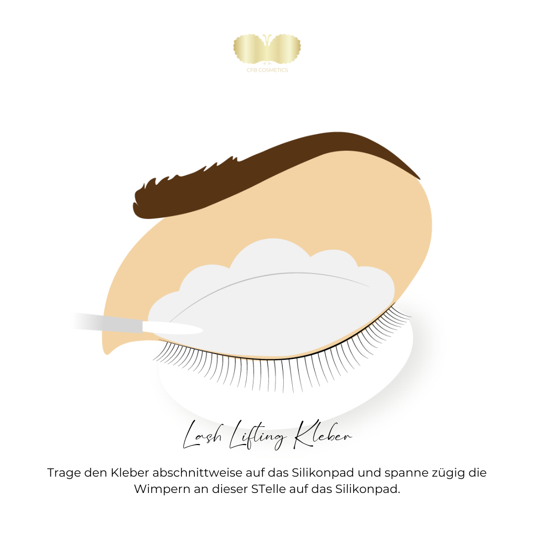 Lote de 5 tubos de pegamento para lifting de pestañas REGULAR, de consistencia líquida, 5 ml + 1 gratis de CFB Cosmetics®
