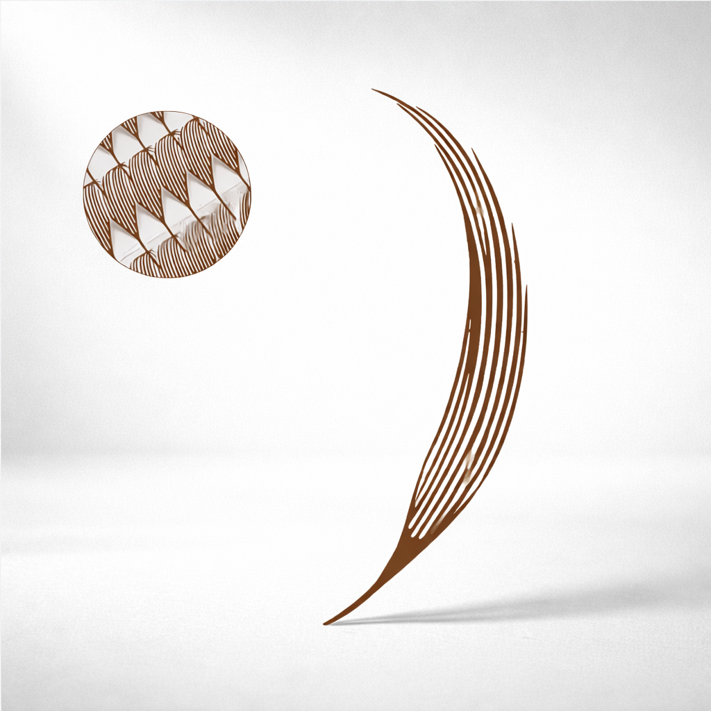 Anime Lashes | Dark Brown | Der Trend-Look für ausdrucksstarke Stylings | CFB Cosmetics®