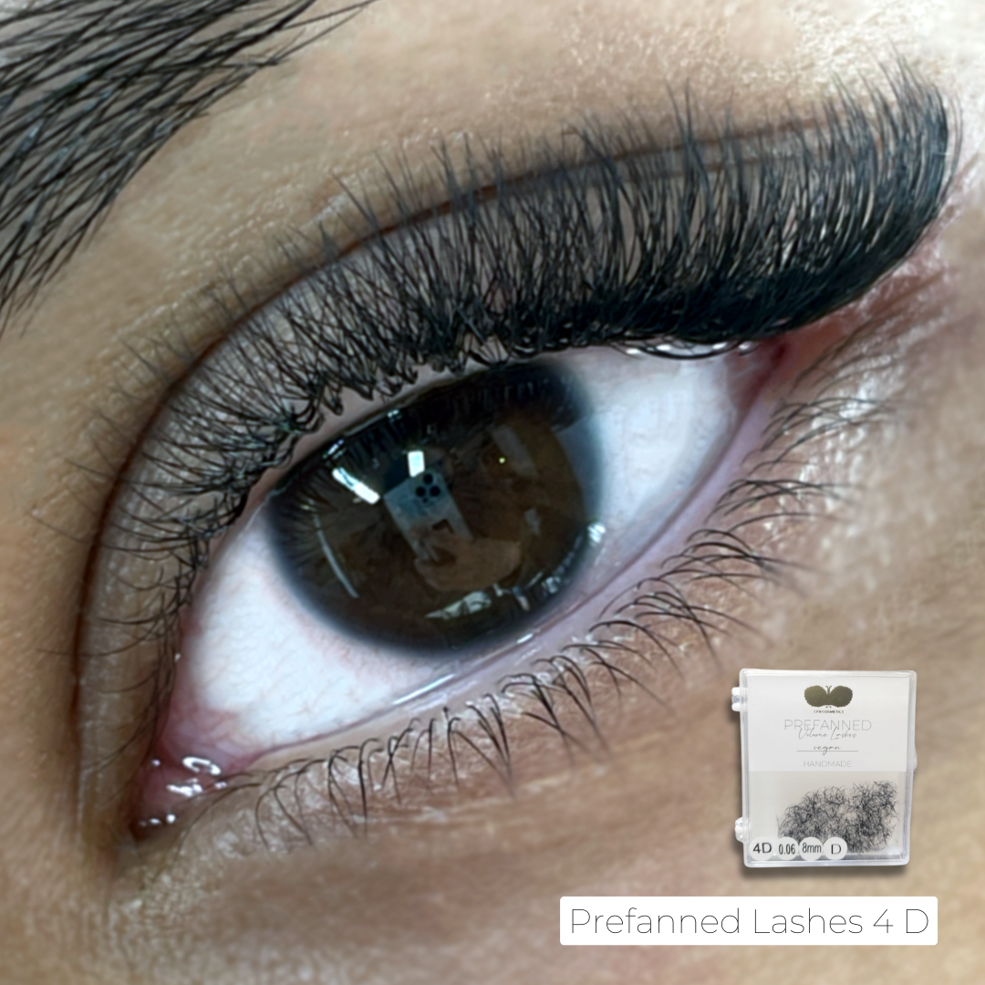 Prefanned Volume Lashes