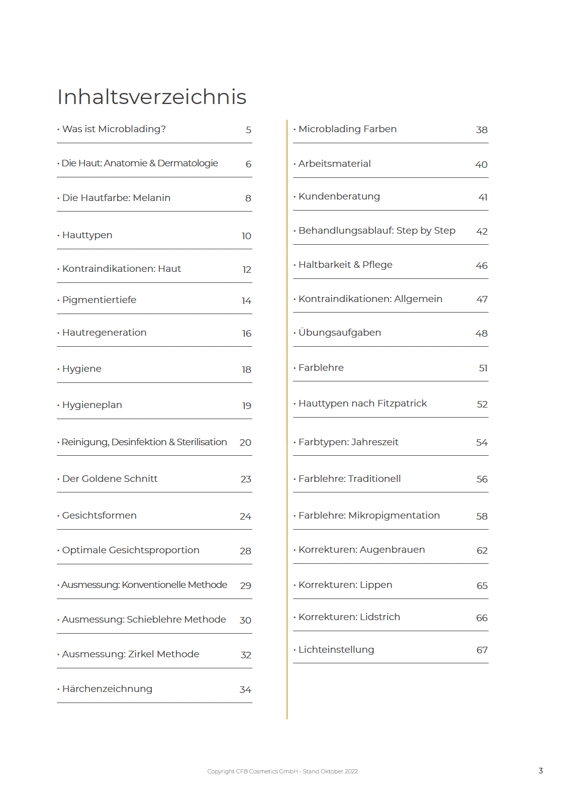 Microblading VIP Schulung | Basis | 2 Tage