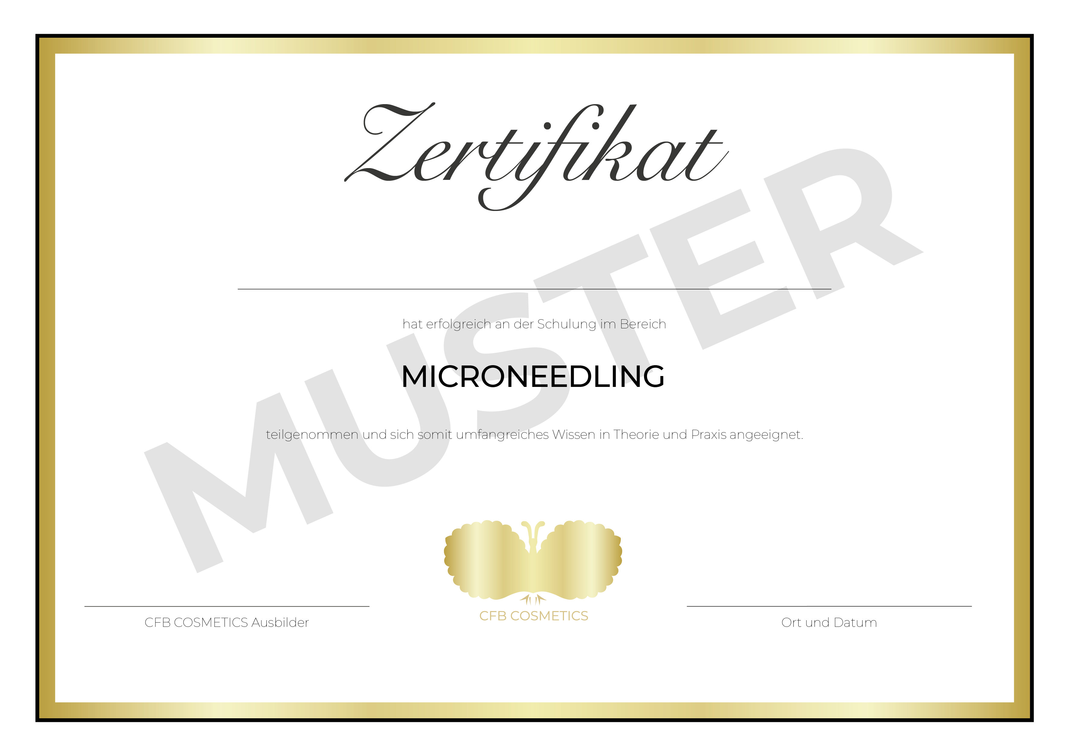 Microneedling | BB Foundation | Basic Set