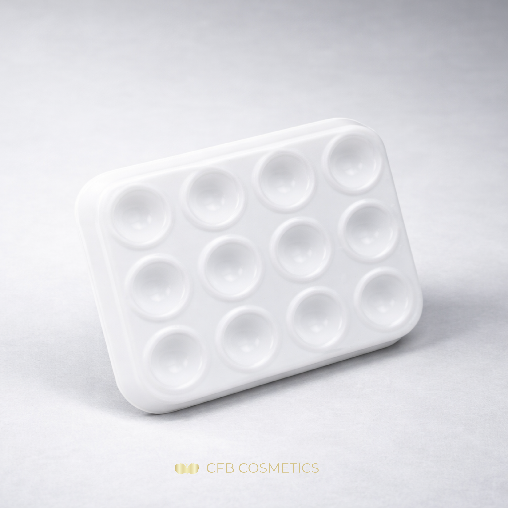 Disposable tray | 12 trays